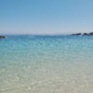 Meet your Posher, Nethra